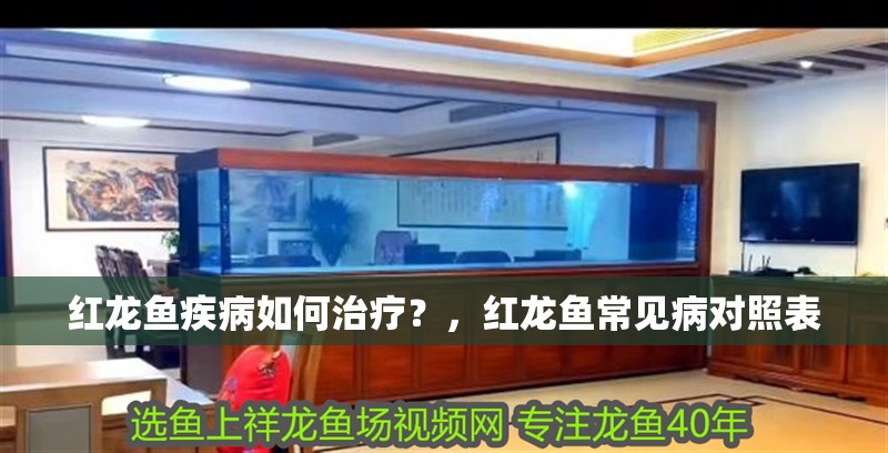 紅龍魚疾病如何治療？，紅龍魚常見病對照表 紅龍魚疾病如何治療？，紅龍魚常見病對照表 龍魚百科