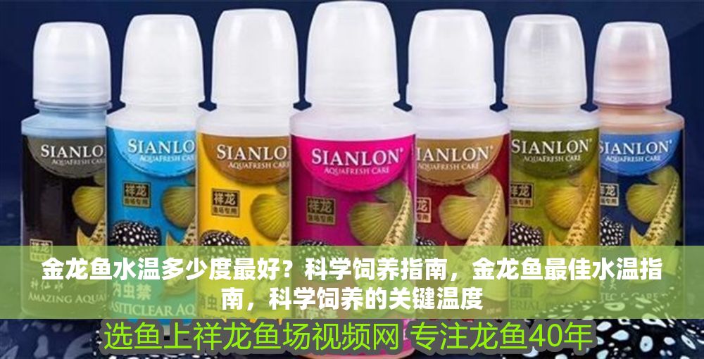 金龍魚水溫多少度最好？科學飼養指南，金龍魚最佳水溫指南，科學飼養的關鍵溫度