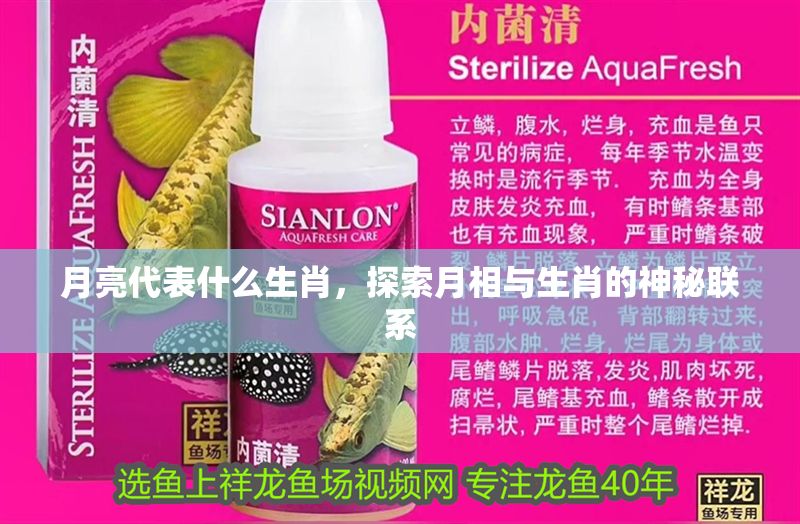 月亮代表什么生肖，探索月相與生肖的神秘聯(lián)系