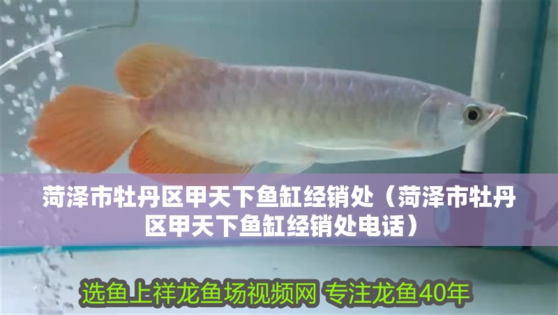 菏澤市牡丹區(qū)甲天下魚缸經(jīng)銷處（菏澤市牡丹區(qū)甲天下魚缸經(jīng)銷處電話）