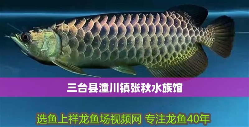 三臺縣潼川鎮(zhèn)張秋水族館
