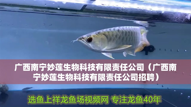 廣西南寧妙蓮生物科技有限責任公司（廣西南寧妙蓮生物科技有限責任公司招聘）