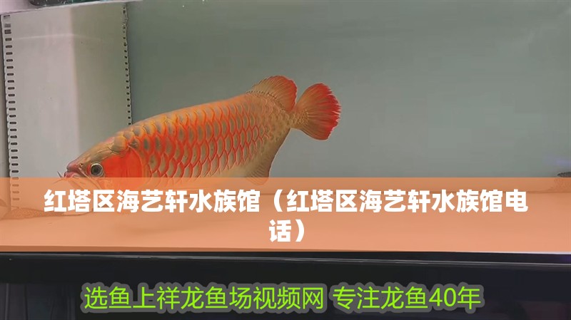 紅塔區(qū)海藝軒水族館（紅塔區(qū)海藝軒水族館電話）