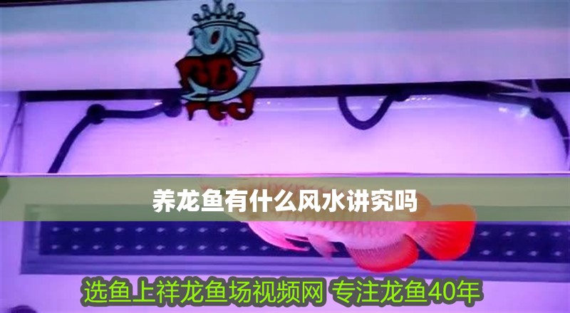 養(yǎng)龍魚有什么風水講究嗎