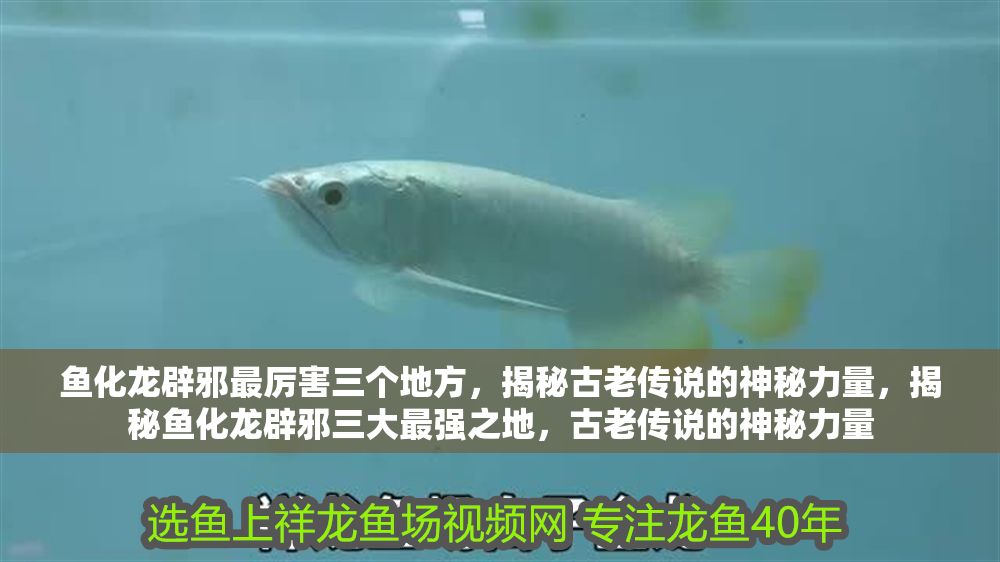 魚化龍辟邪最厲害三個地方，揭秘古老傳說的神秘力量，揭秘魚化龍辟邪三大最強之地，古老傳說的神秘力量