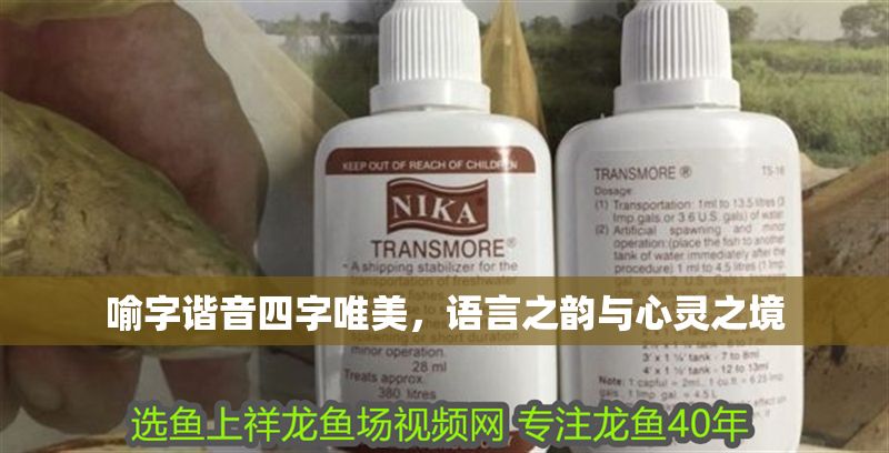 喻字諧音四字唯美，語言之韻與心靈之境