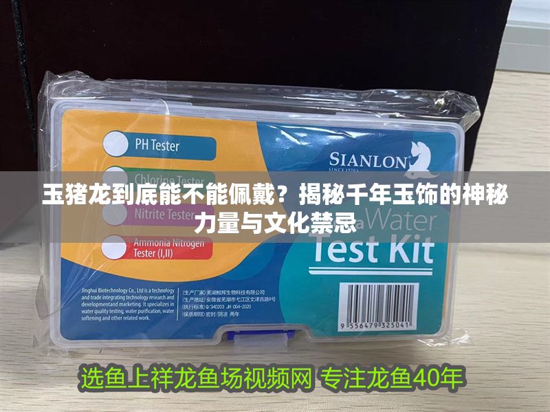玉豬龍到底能不能佩戴？揭秘千年玉飾的神秘力量與文化禁忌