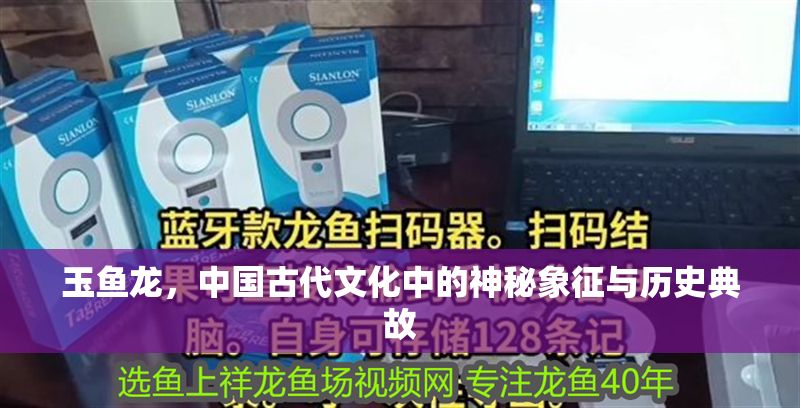 玉魚龍，中國古代文化中的神秘象征與歷史典故