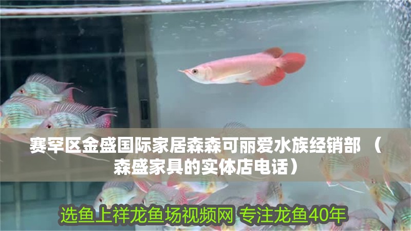 賽罕區金盛國際家居森森可麗愛水族經銷部 （森盛家具的實體店電話）