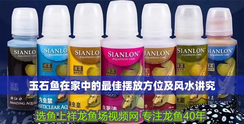 玉石魚在家中的最佳擺放方位及風(fēng)水講究