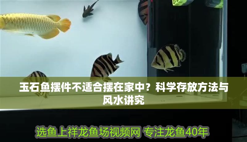 玉石魚擺件不適合擺在家中?科學存放方法與風水講究 龍魚百科 第1張 玉石魚擺件不適合擺在家中?科學存放方法與風水講究 玉石魚擺件不適合擺在家中?科學存放方法與風水講究 龍魚百科 第1張
