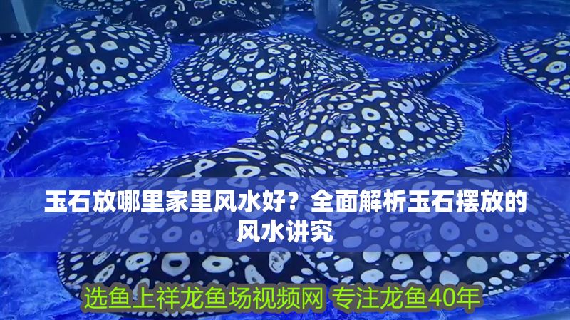 玉石放哪里家里風水好？全面解析玉石擺放的風水講究