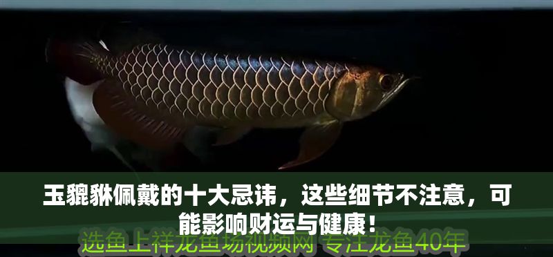 玉貔貅佩戴的十大忌諱，這些細節不注意，可能影響財運與健康！
