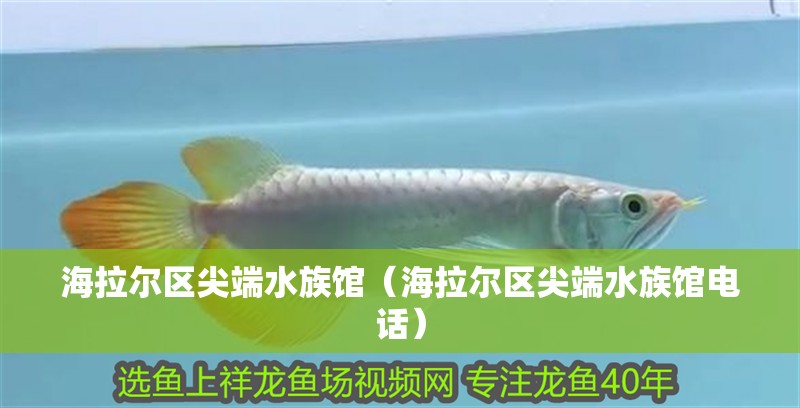 海拉爾區尖端水族館（海拉爾區尖端水族館電話） 海拉爾區尖端水族館（海拉爾區尖端水族館電話） 全國水族館企業名錄