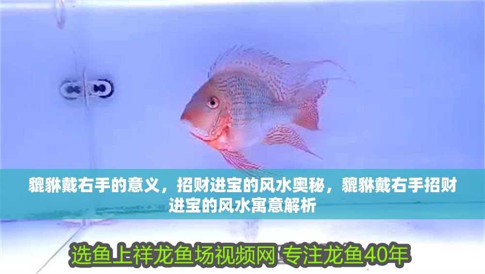 貔貅戴右手的意義，招財進寶的風水奧秘，貔貅戴右手招財進寶的風水寓意解析