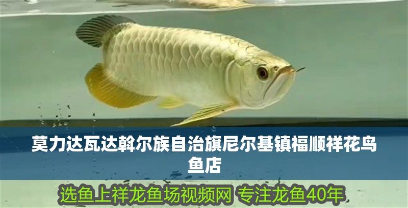 莫力達(dá)瓦達(dá)斡爾族自治旗尼爾基鎮(zhèn)福順祥花鳥(niǎo)魚(yú)店
