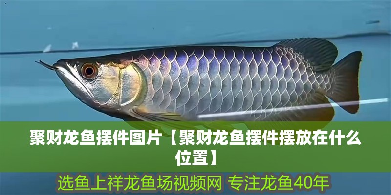 聚財龍魚擺件圖片【聚財龍魚擺件擺放在什么位置】