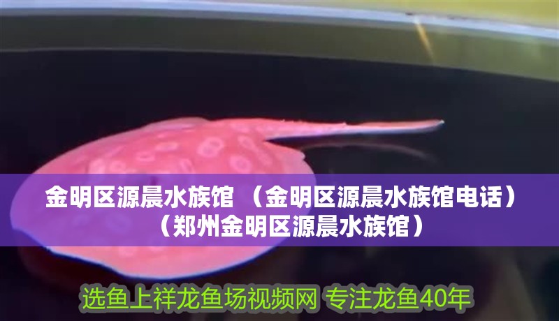 金明區(qū)源晨水族館 （金明區(qū)源晨水族館電話）（鄭州金明區(qū)源晨水族館）