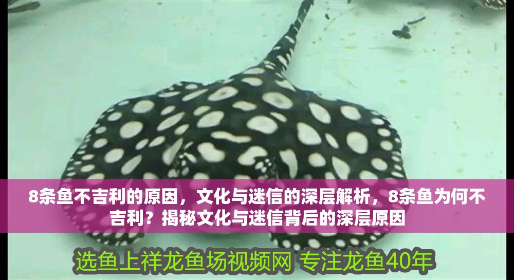 8條魚不吉利的原因，文化與迷信的深層解析，8條魚為何不吉利？揭秘文化與迷信背后的深層原因