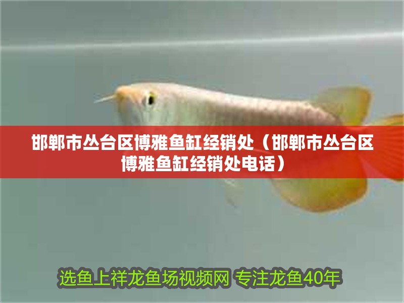 邯鄲市叢臺區博雅魚缸經銷處（邯鄲市叢臺區博雅魚缸經銷處電話）