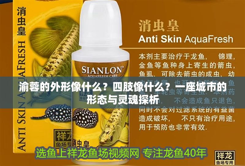 渝蓉的外形像什么？四肢像什么？一座城市的形態與靈魂探析