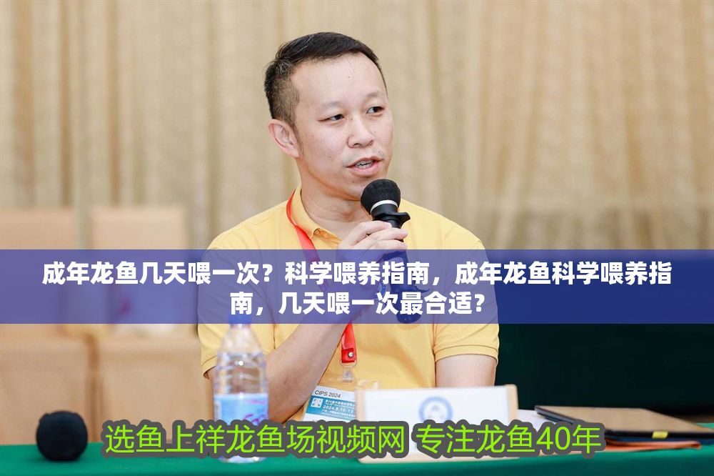 成年龍魚(yú)幾天喂一次?科學(xué)喂養(yǎng)指南,成年龍魚(yú)科學(xué)喂養(yǎng)指南,幾天喂一次最合適? 龍魚(yú)百科 第1張 成年龍魚(yú)幾天喂一次?科學(xué)喂養(yǎng)指南,成年龍魚(yú)科學(xué)喂養(yǎng)指南,幾天喂一次最合適? 成年龍魚(yú)幾天喂一次?科學(xué)喂養(yǎng)指南,成年龍魚(yú)科學(xué)喂養(yǎng)指南,幾天喂一次最合適? 龍魚(yú)百科 第1張