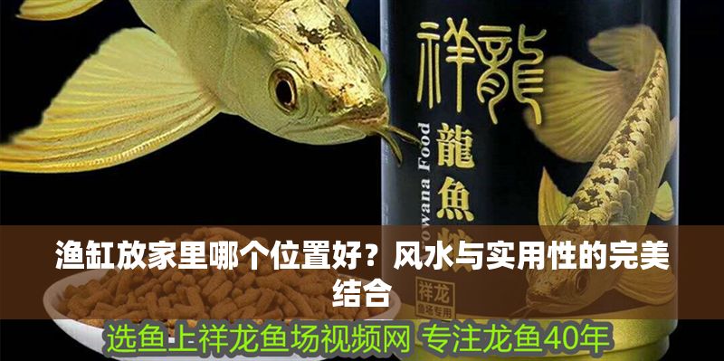 漁缸放家里哪個位置好？風水與實用性的完美結合