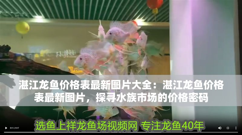 湛江龍魚價格表最新圖片大全：湛江龍魚價格表最新圖片，探尋水族市場的價格密碼