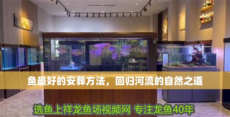 魚最好的安葬方法，回歸河流的自然之道