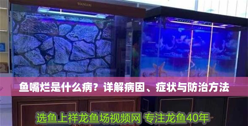 魚嘴爛是什么病？詳解病因、癥狀與防治方法