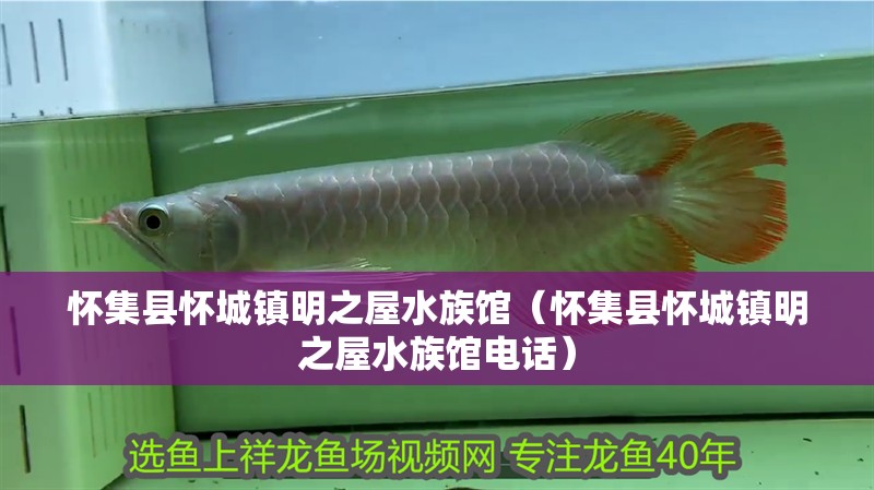 懷集縣懷城鎮明之屋水族館（懷集縣懷城鎮明之屋水族館電話）
