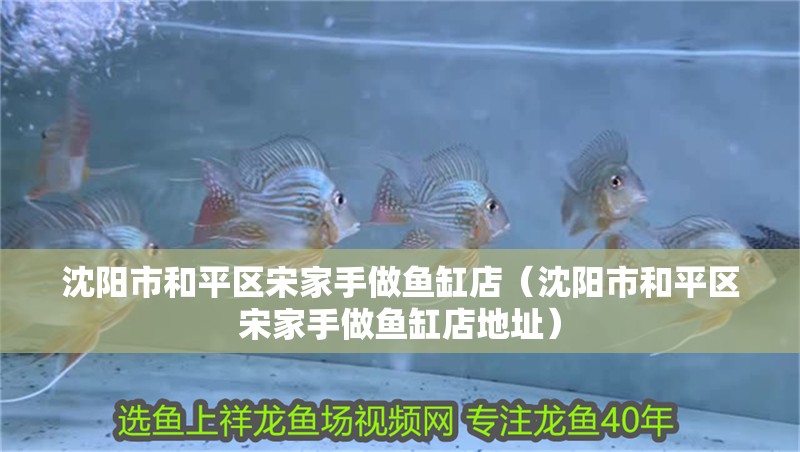 沈陽市和平區(qū)宋家手做魚缸店（沈陽市和平區(qū)宋家手做魚缸店地址）