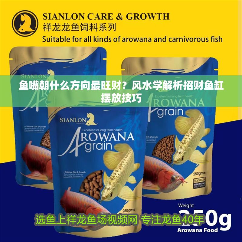 魚嘴朝什么方向最旺財？風水學解析招財魚缸擺放技巧