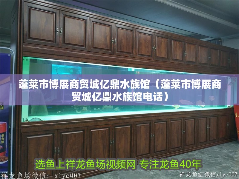 蓬萊市博展商貿城億鼎水族館（蓬萊市博展商貿城億鼎水族館電話）