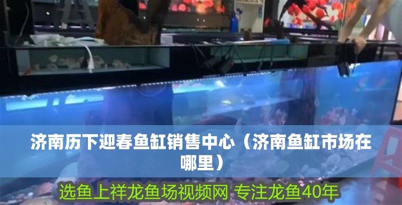 濟南歷下迎春魚缸銷售中心（濟南魚缸市場在哪里）