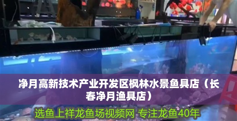 凈月高新技術(shù)產(chǎn)業(yè)開發(fā)區(qū)楓林水景魚具店（長春凈月漁具店） 凈月高新技術(shù)產(chǎn)業(yè)開發(fā)區(qū)楓林水景魚具店（長春凈月漁具店） 全國水族館企業(yè)名錄