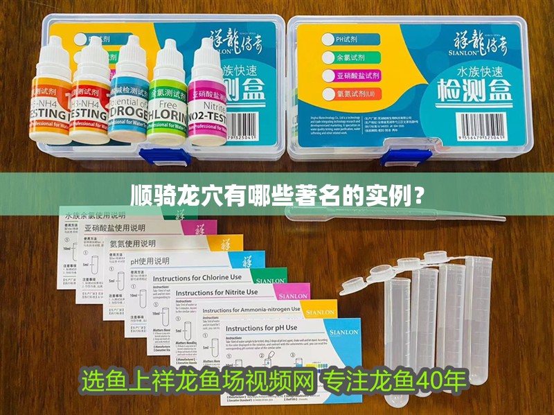 順騎龍穴有哪些著名的實例？