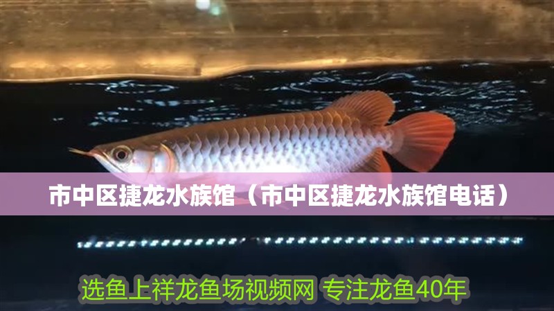 市中區(qū)捷龍水族館（市中區(qū)捷龍水族館電話）