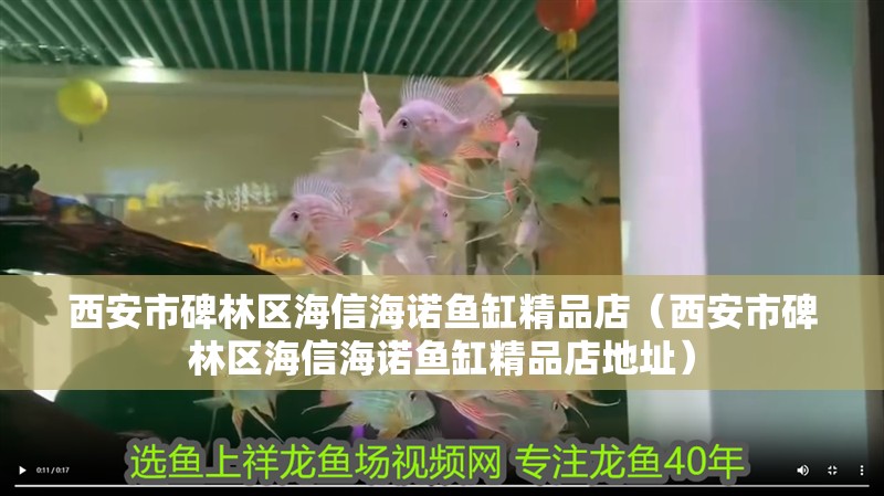 西安市碑林區海信海諾魚缸精品店（西安市碑林區海信海諾魚缸精品店地址）