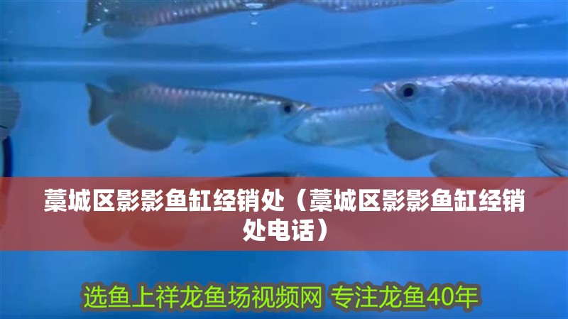 藁城區影影魚缸經銷處（藁城區影影魚缸經銷處電話）