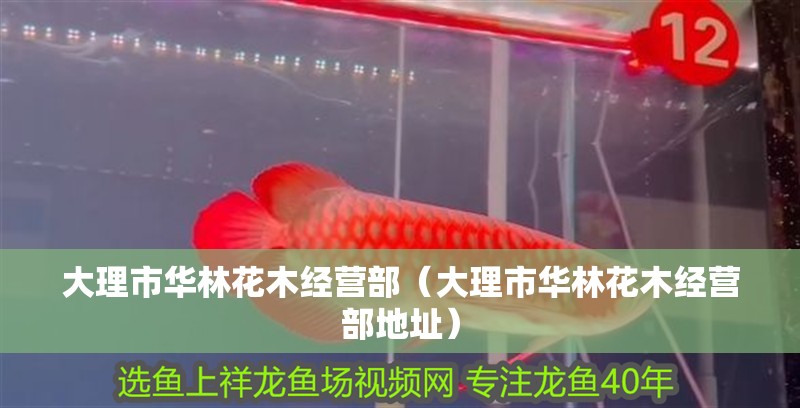 大理市華林花木經(jīng)營部（大理市華林花木經(jīng)營部地址）