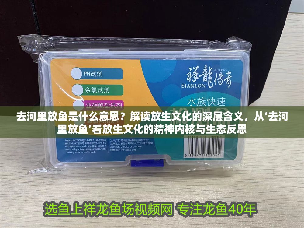 去河里放魚是什么意思？解讀放生文化的深層含義，從‘去河里放魚’看放生文化的精神內(nèi)核與生態(tài)反思