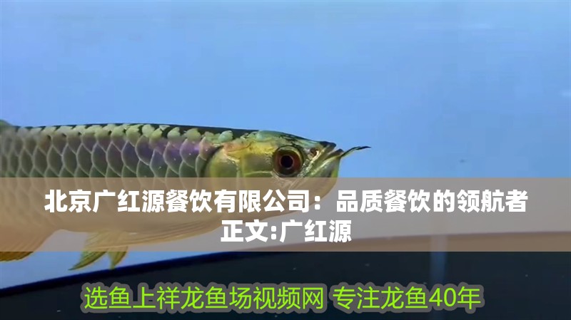 <strong><mark>北京</mark></strong>廣紅源餐飲有限公司：品質餐飲的領航者正文:廣紅源