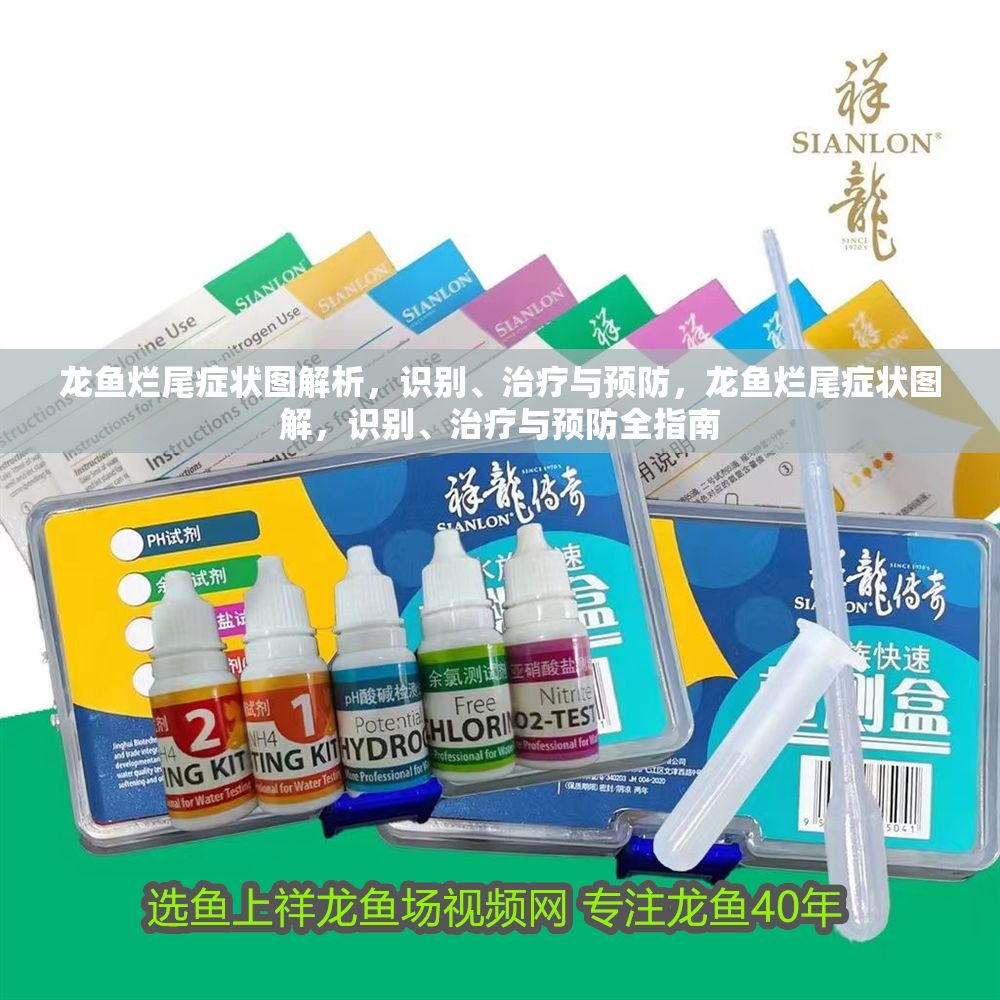 龍魚爛尾癥狀圖解析，識(shí)別、治療與預(yù)防，龍魚爛尾癥狀圖解，識(shí)別、治療與預(yù)防全指南