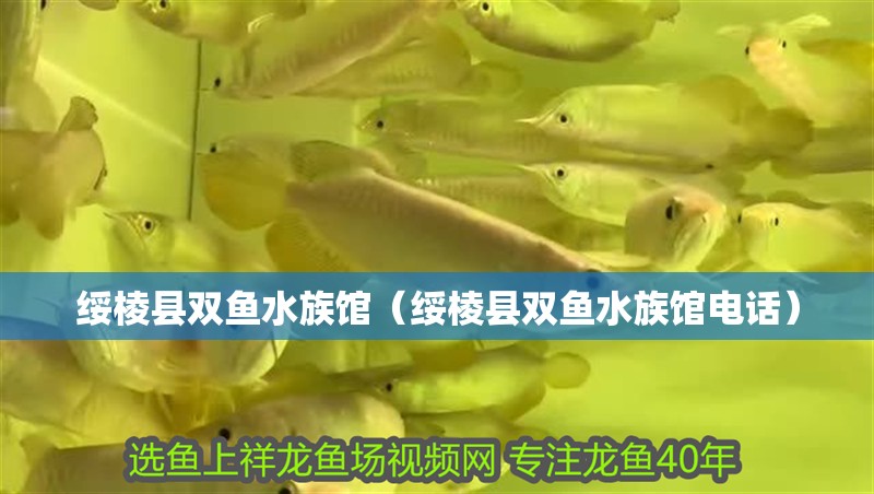 綏棱縣雙魚水族館（綏棱縣雙魚水族館電話）