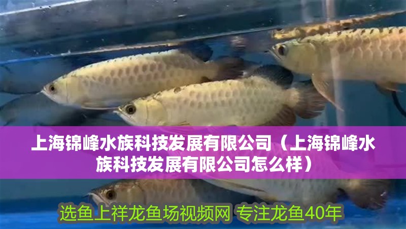 上海錦峰水族科技發展有限公司（上海錦峰水族科技發展有限公司怎么樣） 上海錦峰水族科技發展有限公司（上海錦峰水族科技發展有限公司怎么樣） 全國水族館企業名錄