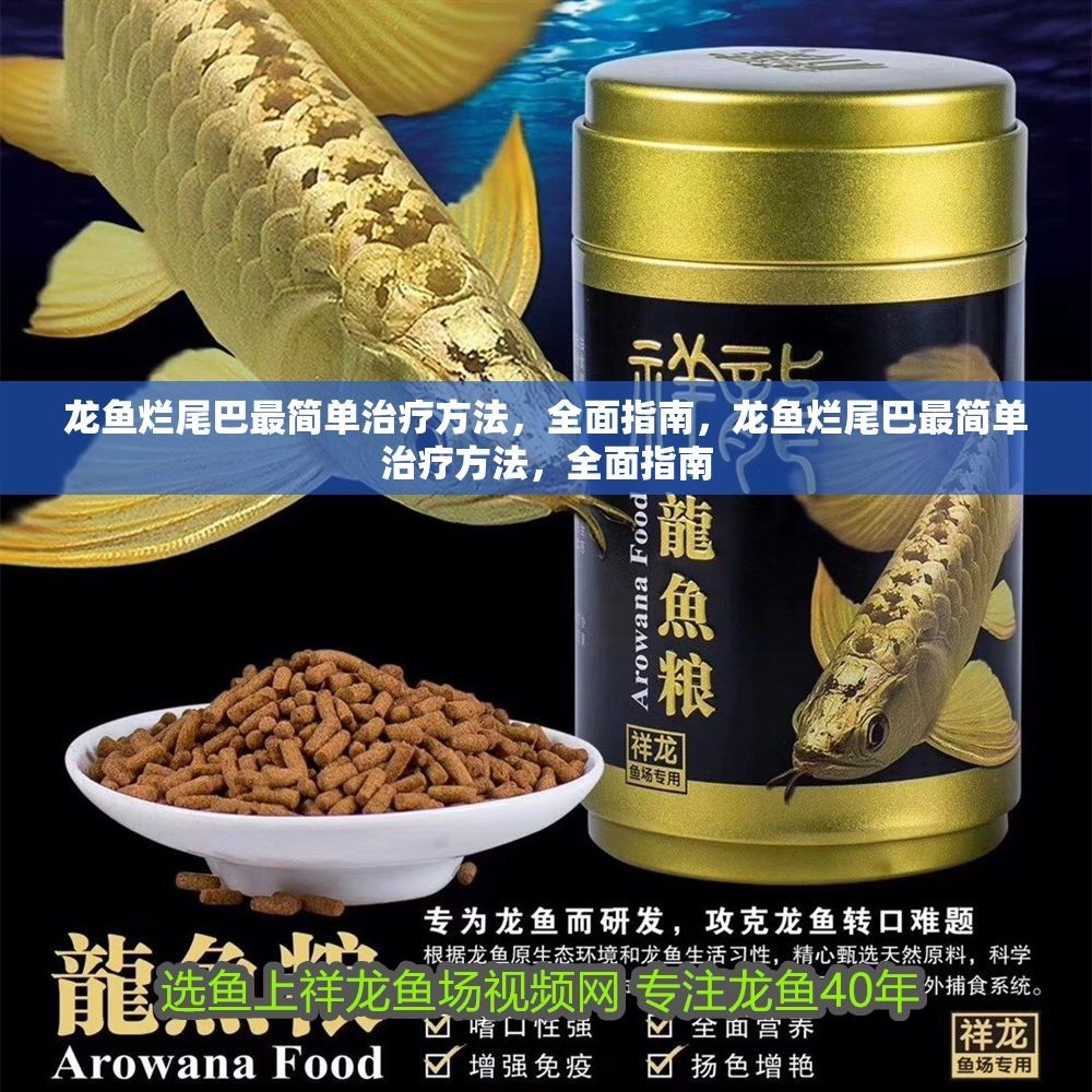 龍魚爛尾巴最簡單治療方法，全面指南，龍魚爛尾巴最簡單治療方法，全面指南