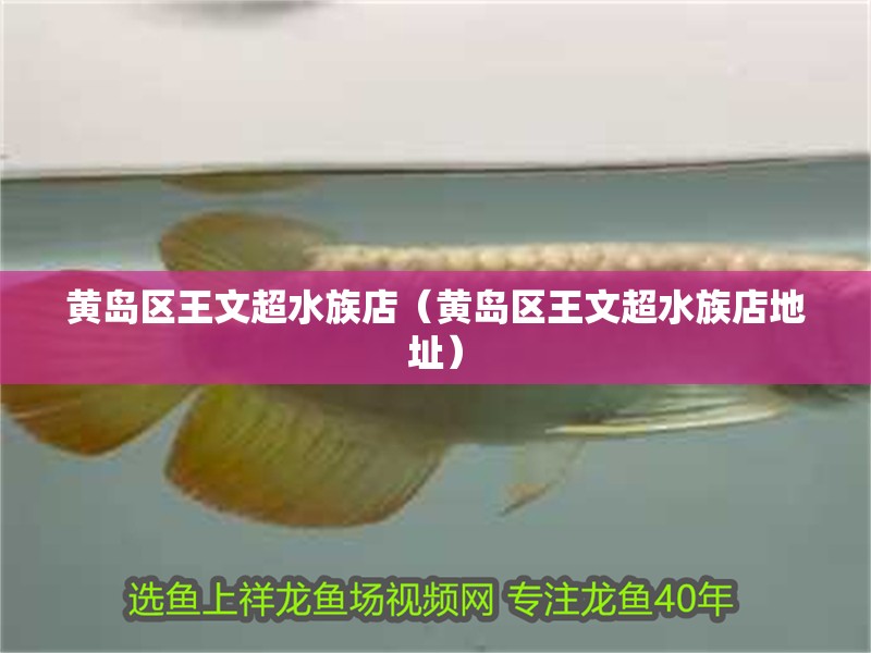 魚缸用增氧泵價格是多少:魚缸增氧機-xtrac增氧機-xtrac增氧機 黃島區(qū)王文超水族店(黃島區(qū)王文超水族店地址) 全國水族館企業(yè)名錄 黃島區(qū)王文超水族店(黃島區(qū)王文超水族店地址) 黃島區(qū)王文超水族店(黃島區(qū)王文超水族店地址) 全國水族館企業(yè)名錄