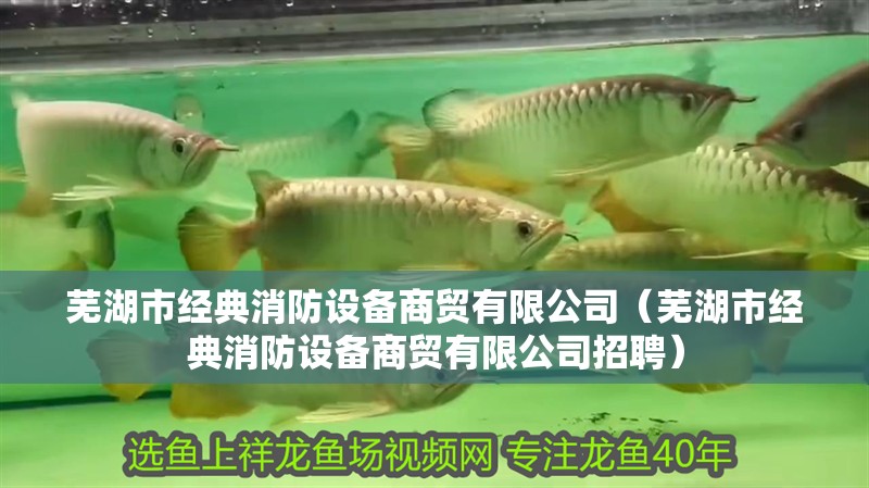 蕪湖市經(jīng)典消防設(shè)備商貿(mào)有限公司（蕪湖市經(jīng)典消防設(shè)備商貿(mào)有限公司招聘）