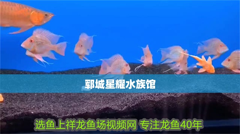 鄆城星耀水族館